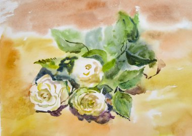 Parlak güzel beyaz gül suluboya ile boyalı