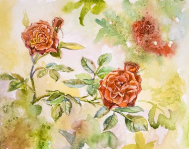 Parlak güzel doğal kırmızı çiçek gül sulu boya boyalı