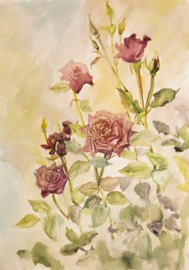 Güzel kırmızı güllerin bahçedeki suluboya boyalı