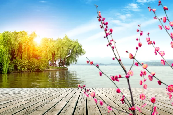 Hangzhou West Lake krajina — Stock fotografie