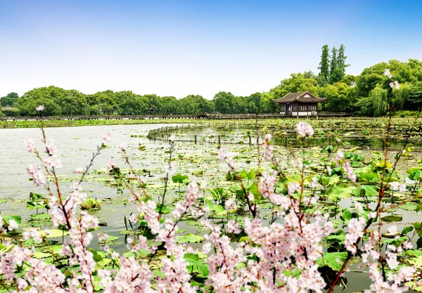 Hangzhou Δυτική Λίμνη τοπίο — Φωτογραφία Αρχείου