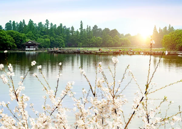 Wgląd nocy Hangzhou, Chiny — Zdjęcie stockowe