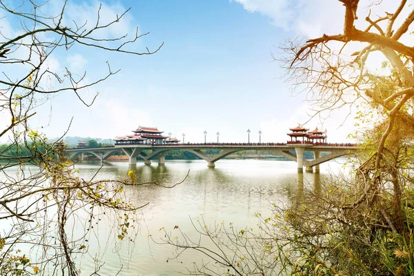 Chinese traditional style bridge — Stock Photo, Image