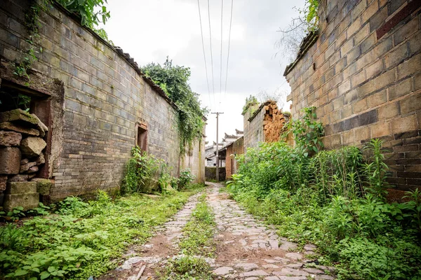 Country alley path — Stock Photo, Image