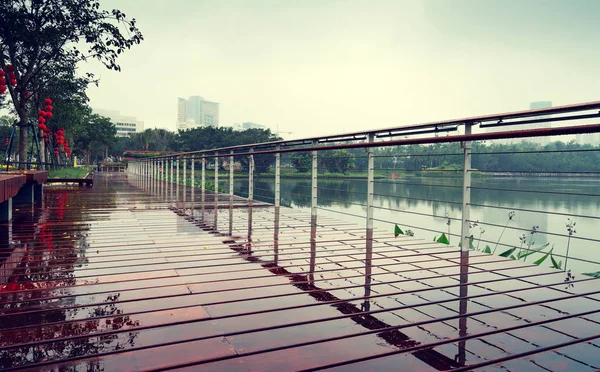 Excelente vista para o jardim do lago do parque — Fotografia de Stock