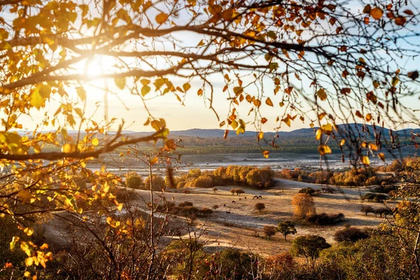 Sabahın erken saatlerinde otlak ve dağlar — Stok fotoğraf