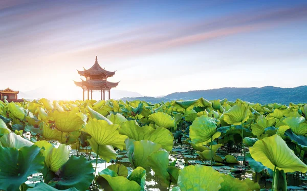 China hangzhou west lake landschap — Stockfoto