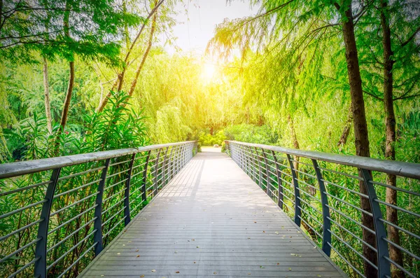 Ponte Legno Nel Parco Attraversa Fitti Boschi — Foto Stock