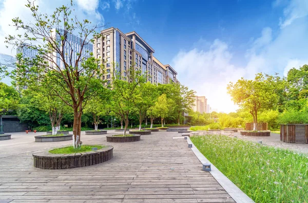 Hoogbouw Gebouwen Buurt Van Het Gazon Hangzhou China — Stockfoto