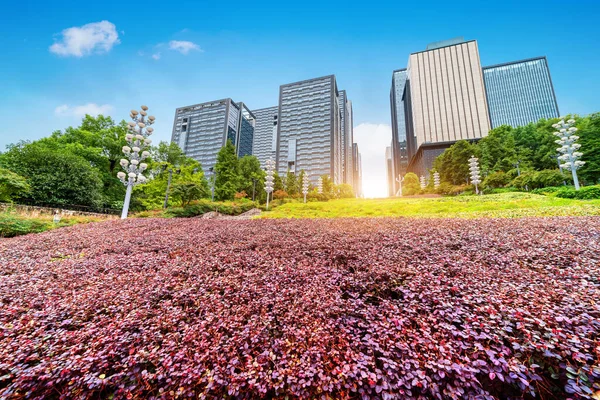 Lawn Intensive Modern Skyscraper Chongqing China — Stock Photo, Image