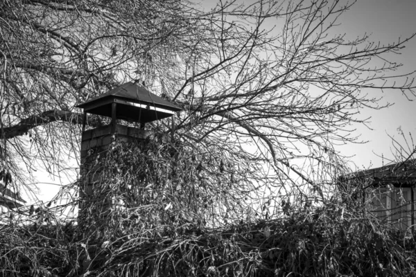 Komínový gril v živý plot na podzim — Stock fotografie