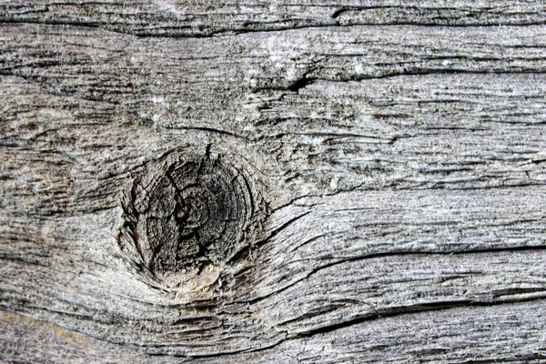 Eski ahşap doku, arka plan veya metin, siyah için kabuk dokusu 