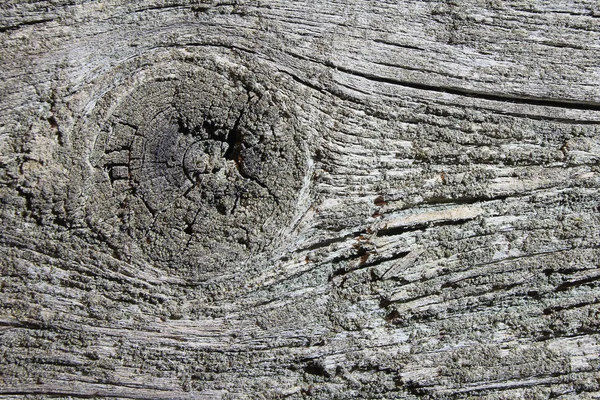 Eski ahşap doku, arka plan veya metin, siyah için kabuk dokusu 