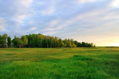 güzel bir gün batımı karşı Sibirya orman