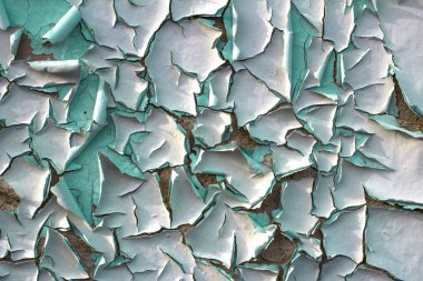 Pullu mavi ve beyaz boya ile ahşap doku