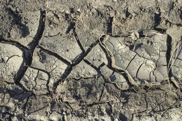 Sfondo terra crepa secca, argilla struttura del deserto — Foto Stock