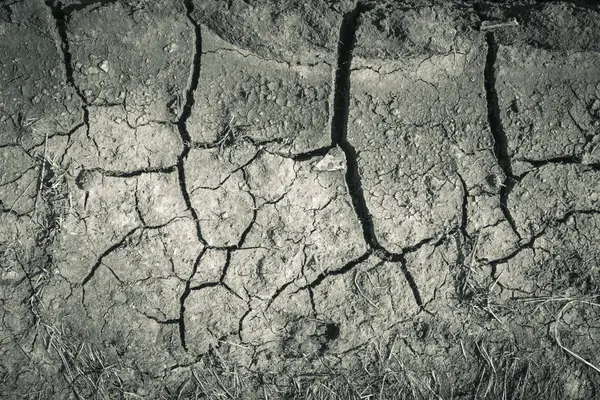Sfondo terra crepa secca, argilla struttura del deserto — Foto Stock