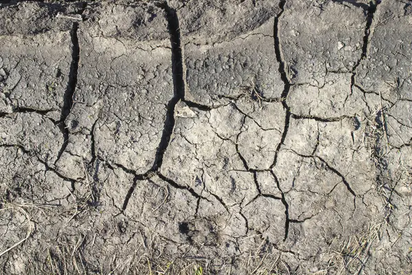 Fond de terre fissurée sèche, texture de désert d'argile — Photo