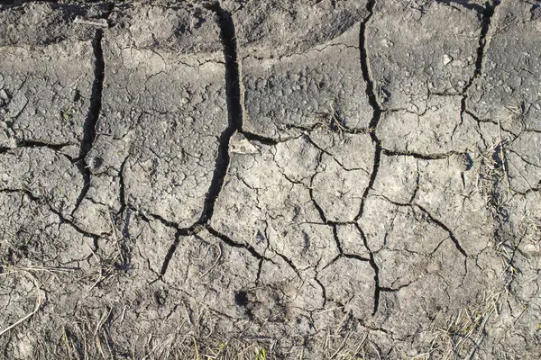 Dry cracked earth background, clay desert texture — Stock Photo, Image