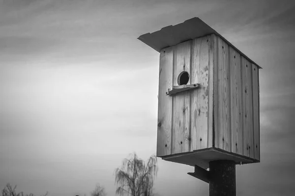 Seregély repült, hogy feltölti a birdhouses — Stock Fotó