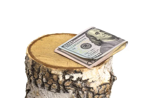 Деньги на рубленном пне березы, проблема обезлесения — стоковое фото