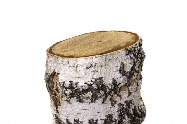 Березовый пень рисунок