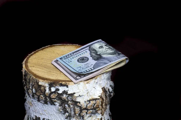 Деньги на рубленном пне березы, проблема обезлесения — стоковое фото