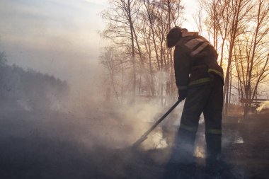 İlkbahar ormanda ölü odun yakar ve itfaiyeciler söndürür.