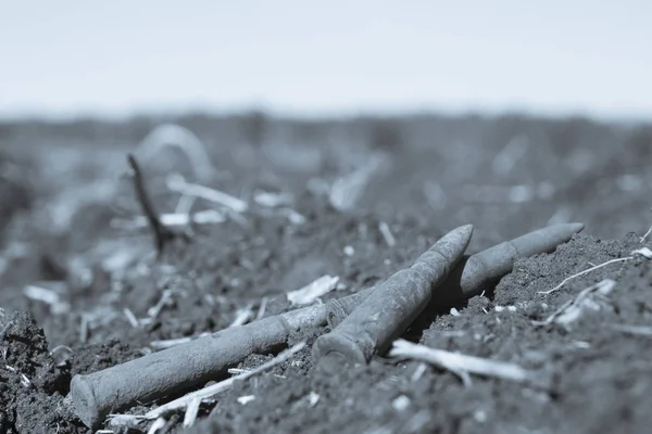 Trovato cartucce e proiettili a causa della guerra passata con l'aiuto di un metal detector, lo sfondo anteriore e posteriore è sfocato — Foto Stock