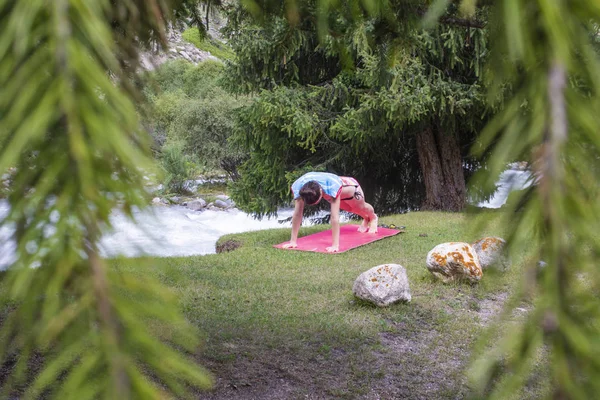 Ein Mädchen macht aktive Übungen und Yoga auf einer Matte im Gebirge — Stockfoto