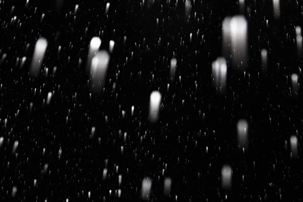 Νιφάδες χιονιού πέφτουν γρήγορα πάνω σε μαύρο ουρανό, μπροστά και β — Φωτογραφία Αρχείου