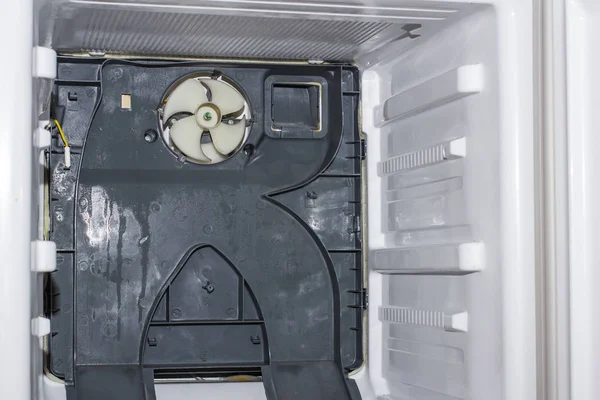 Buzdolabının içinde 