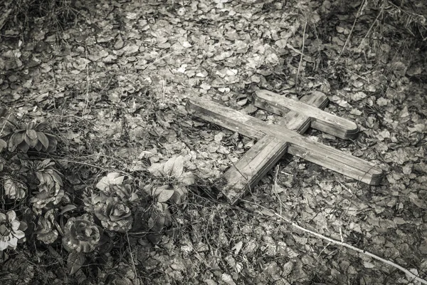 Pogrzeb Krzyż Chrześcijański Brzozy Tle Nieba Przód Tło Zamazane Efektem — Zdjęcie stockowe