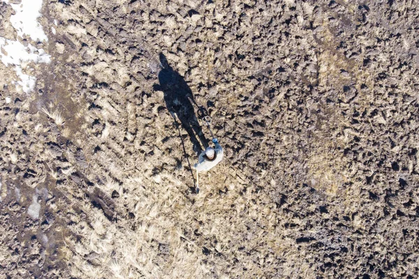 man on a treasure hunt with a metal detector in the woods on the field, photographed from a drone, blurred background