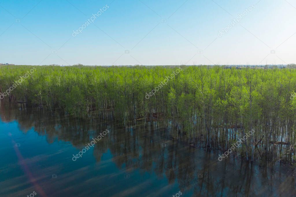 bosque inundado durante el período de inundación, fotografiado desde un
