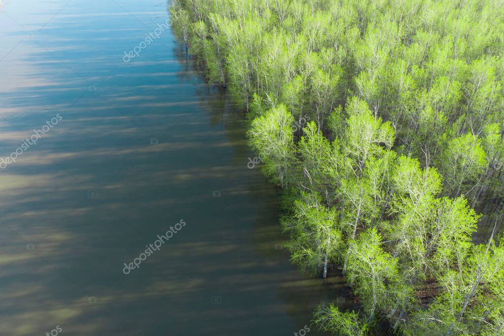 bosque inundado durante el período de inundación, fotografiado desde un
