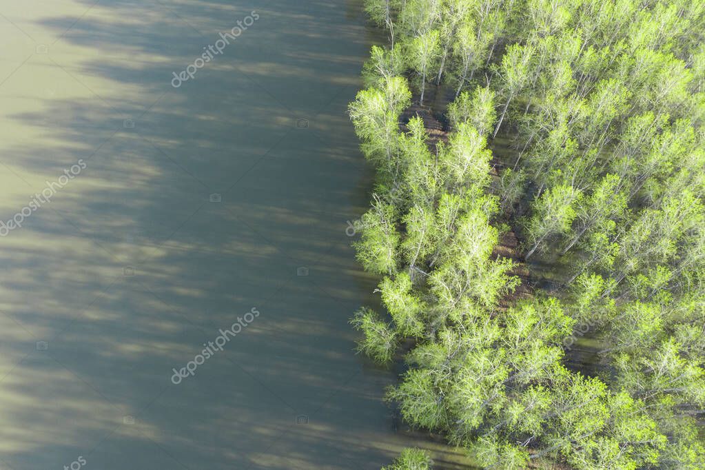 bosque inundado durante el período de inundación, fotografiado desde un