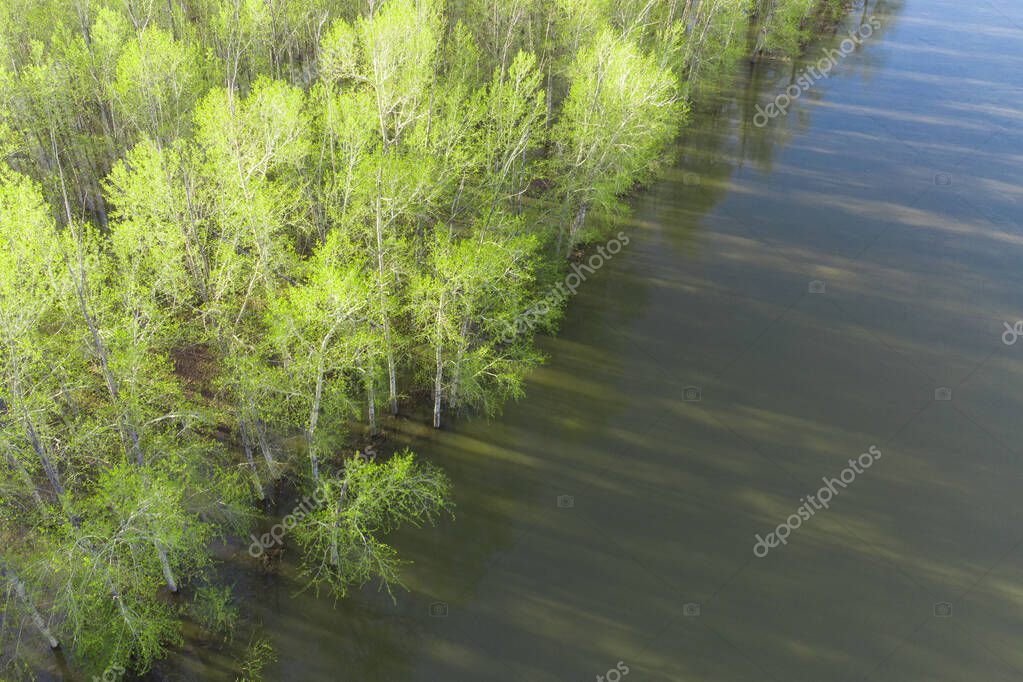 bosque inundado durante el período de inundación, fotografiado desde un