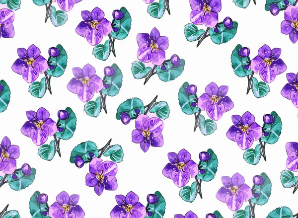 Violette bloemen op een witte achtergrond — Stockvector