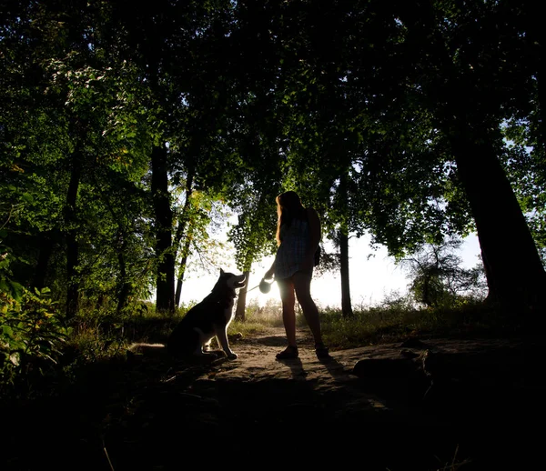 Sombra de uma menina com um cão — Fotografia de Stock