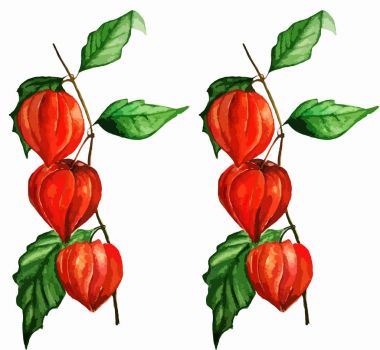 PHYS alış resimde beyaz arka plan üzerinde