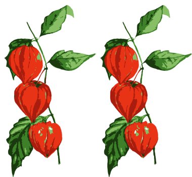 PHYS alış resimde beyaz arka plan üzerinde