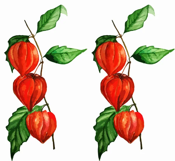 PHYS alış resimde beyaz arka plan üzerinde