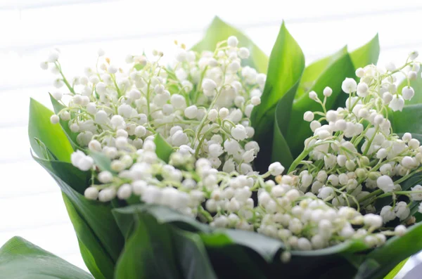A bouquet of lily of the valley background