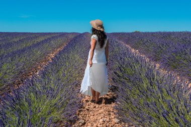 Valensole Yaylası, Provence (Fransa lavanta alanında kadında)