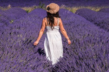 Valensole Yaylası, Provence (Fransa lavanta alanında kadında)