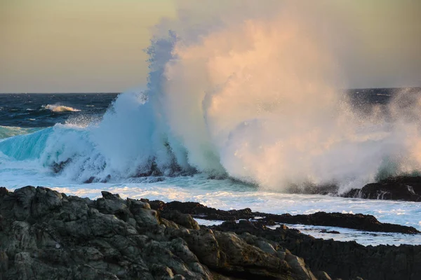 Vågor på Tsitsikamma national park, Garden route, Sydafrika — Stockfoto