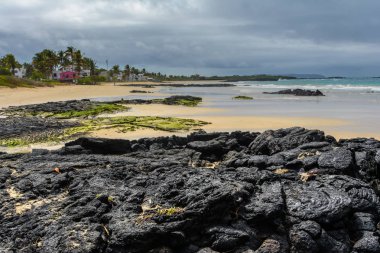 Puerto Villamil Beach, Isabela Adası, Ecuador