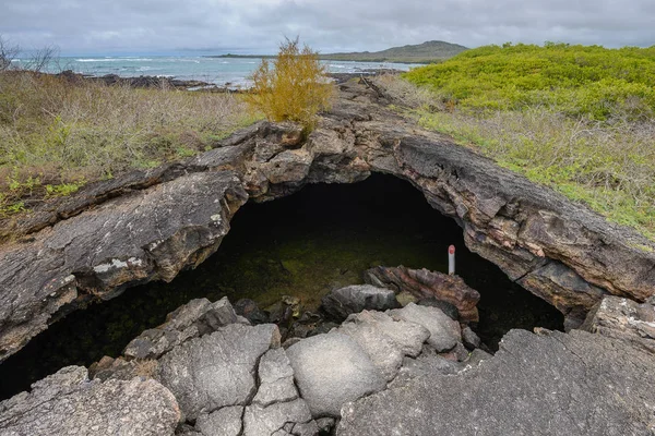 Λάβα σήραγγα (γνωστή ως Tunel del Estero), Ιζαμπέλα νησί, Εκουαδόρ — Φωτογραφία Αρχείου
