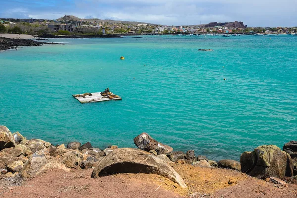 Baia di Puerto Baquerizo Moreno, isola di San Cristobal, Galapagos, Ecuador — Foto Stock